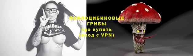 гидра Аркадак