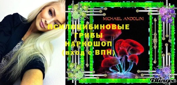 спиды Алексеевка