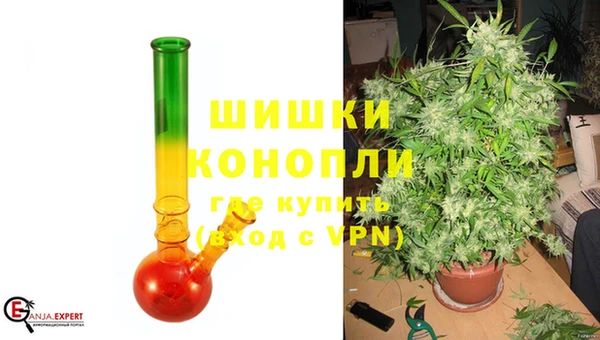 гидра Аркадак