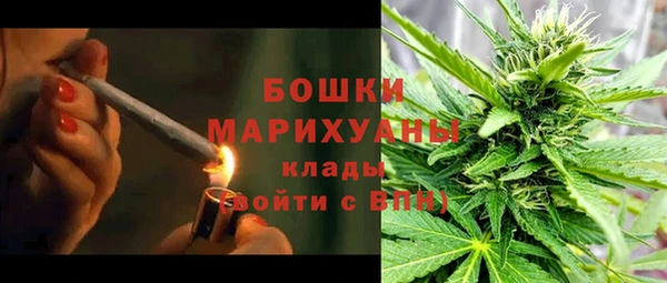 гидра Аркадак
