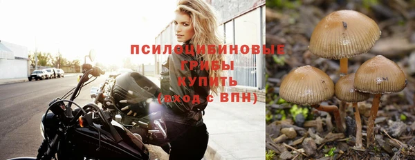 jwh Армянск