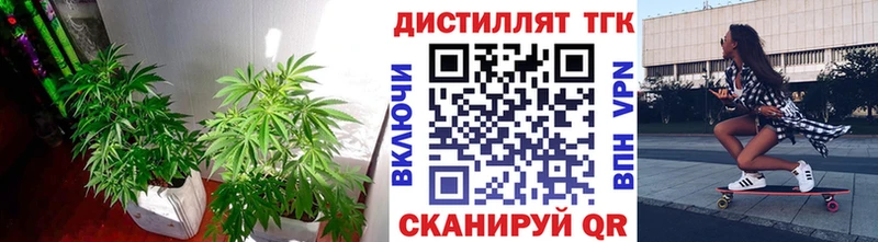 OMG онион  магазин    Тогучин  Дистиллят ТГК Wax 
